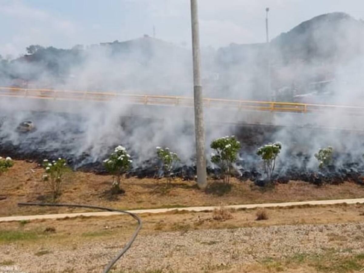 Incendio acabó con la vegetación del puente Benito Hernández