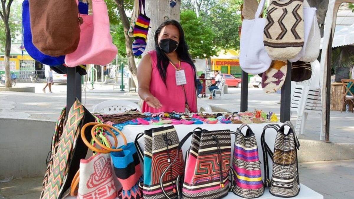 Santa Marta mejora en 6.5 puntos la tasa de desempleo