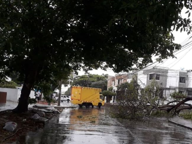 imagen de referencia