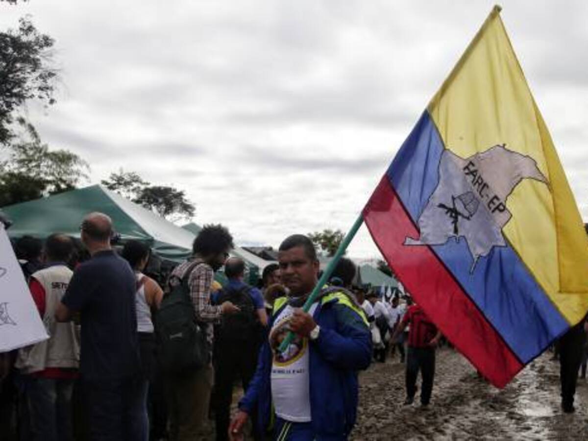 Ex combatientes de las Farc empezaron proyectos productivos