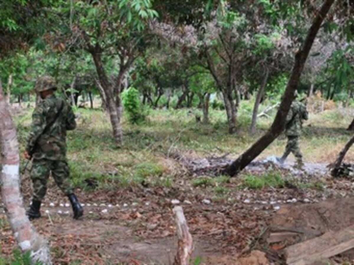 Ofrecen $ 50 millones por información sobre asesinos de 10 campesinos en Antioquia