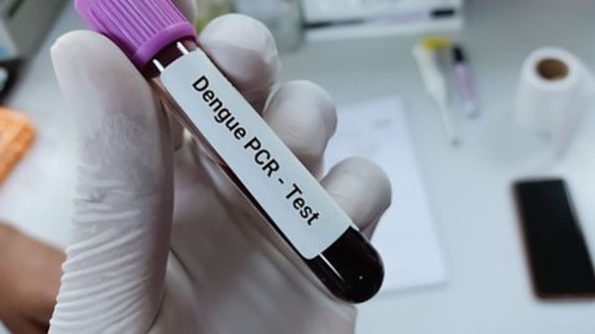 Dosquebradas se declaró en estado de alerta por brote tipo 1 de dengue