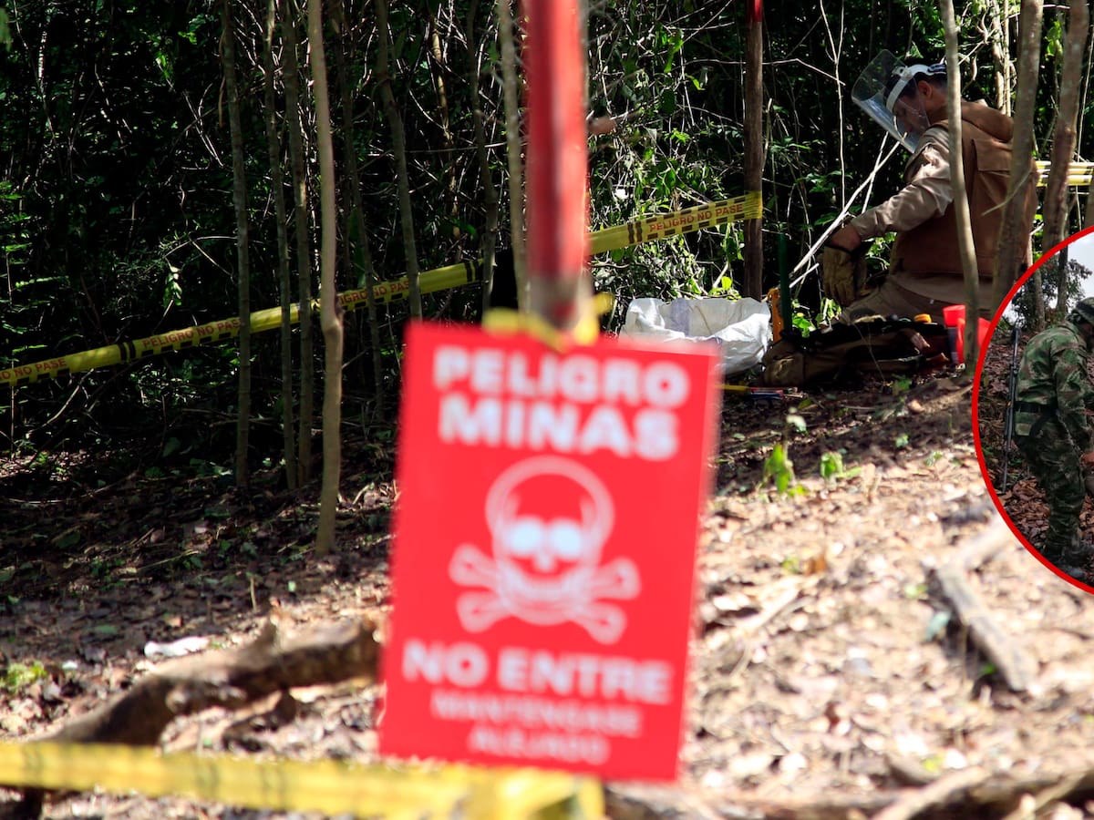 Palmira es declarado libre de sospecha de minas antipersonal tras intervención del Ejército Nacional