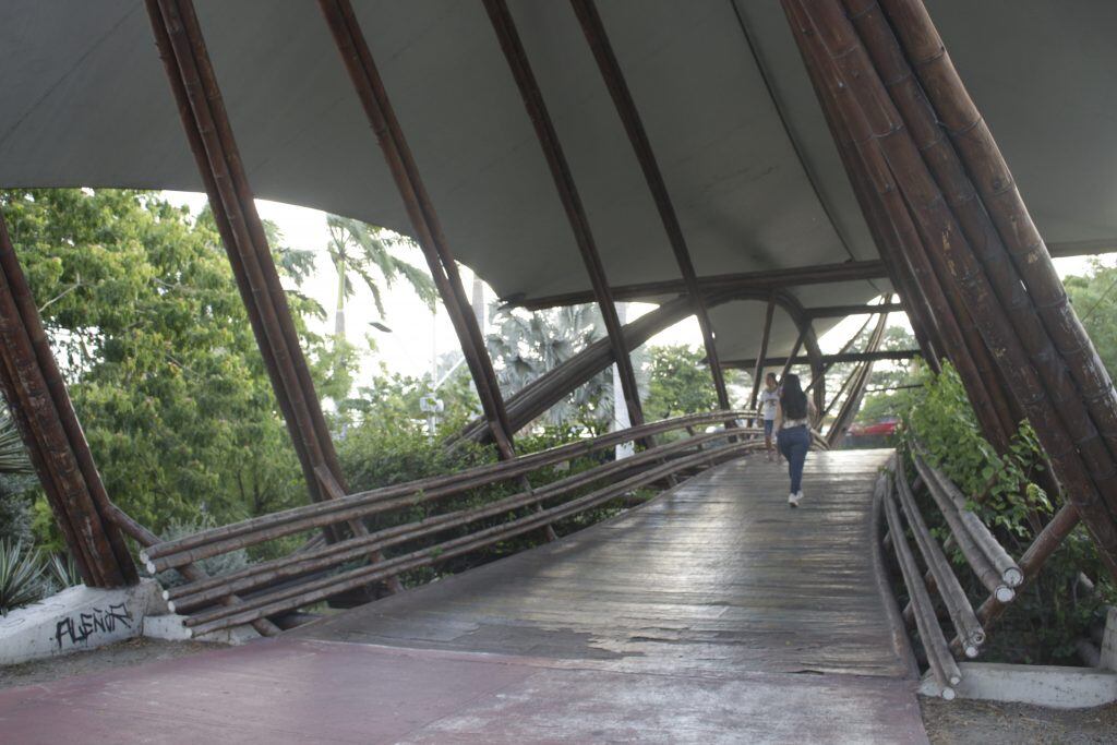 Puente de Guadua- Foto Cortesía