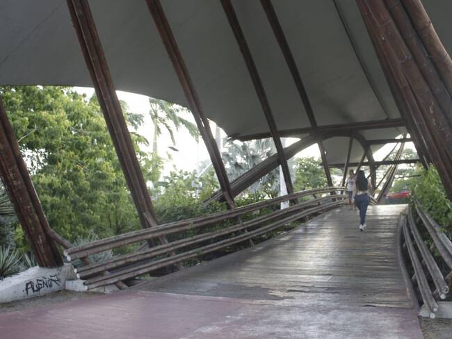 Puente de Guadua- Foto Cortesía