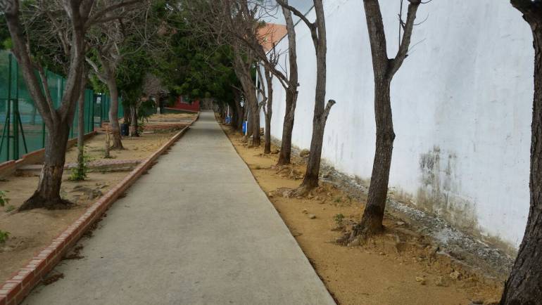 Arboles del norte al norte de Barranquilla, afectados por químicos  