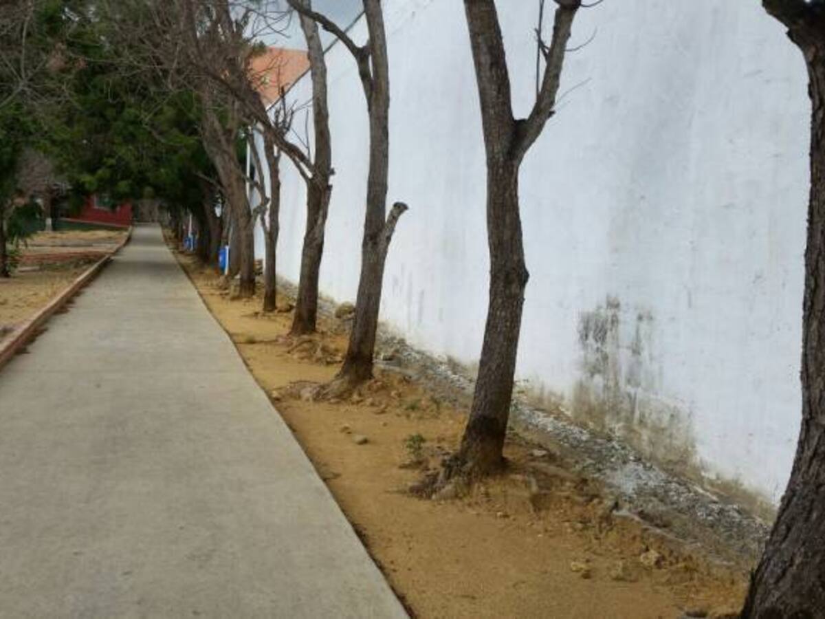 Abre Proceso sancionatorio contra la liga de Tenis del Atlántico