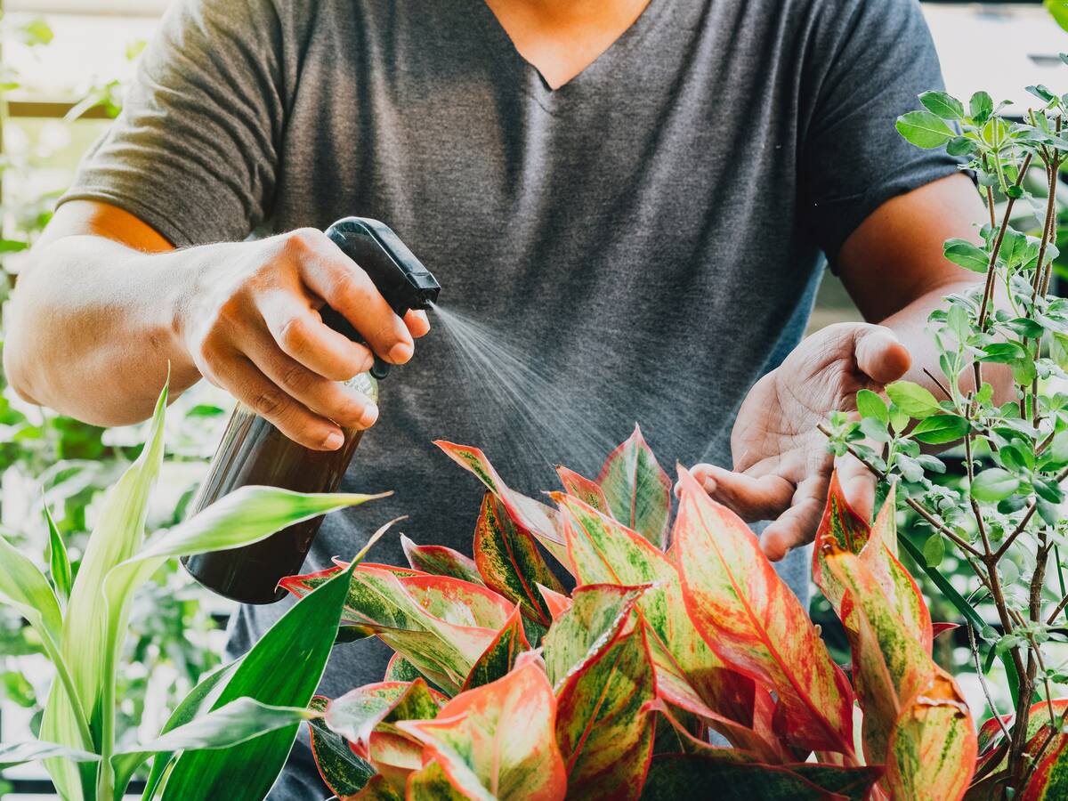 Índice de precios de insumos agrícolas reportó una disminución de 6,8% en julio
