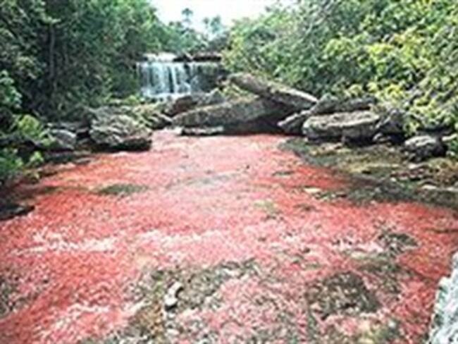 El barro rojo llega al Danubio, el río que vertebra Europa Central y Oriental