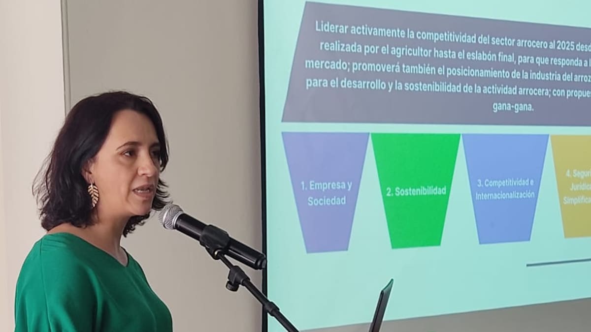 A prepararse para la desgravación del arroz de EE.UU.