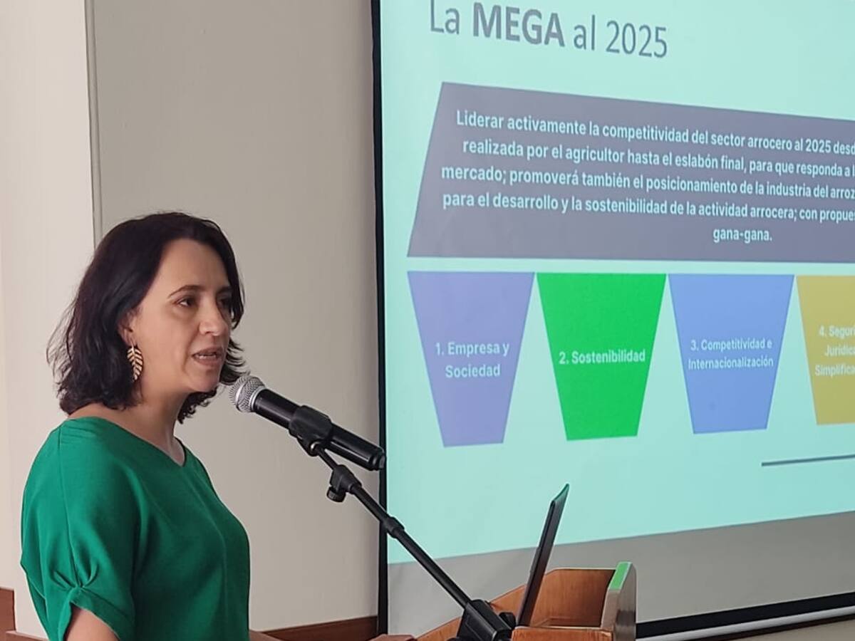 “Debemos prepararnos para la desgravación arancelaria con EE.UU. en 2030”: Induarroz