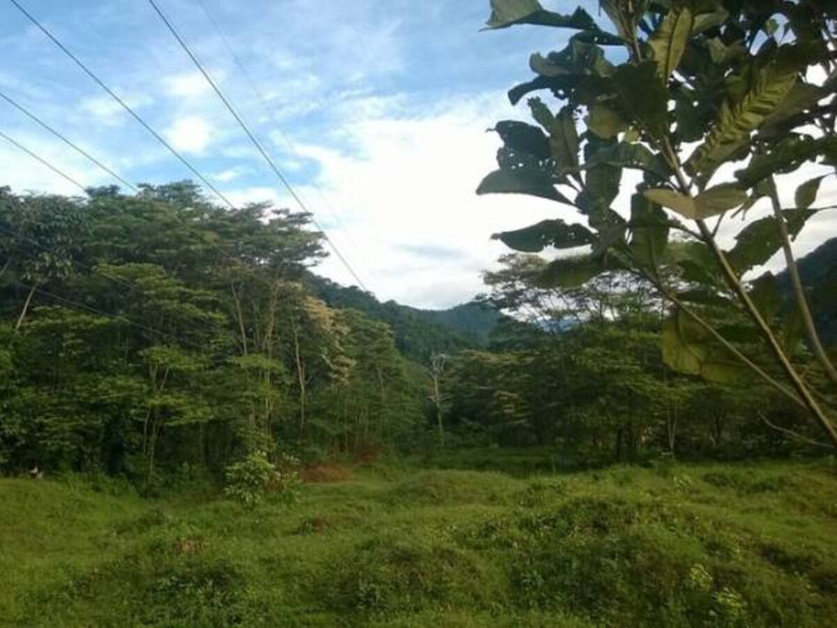 Actos vandálicos mantienen sin energía a 1.600 habitantes de Corinto, Cauca