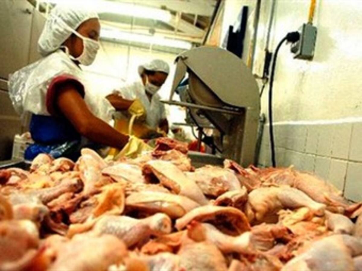 Pollo importado de EEUU podría llegar contaminado