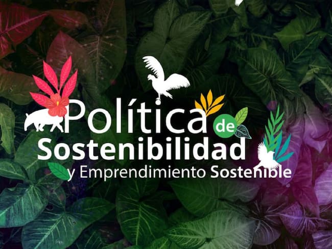 Academia para la sostenibilidad