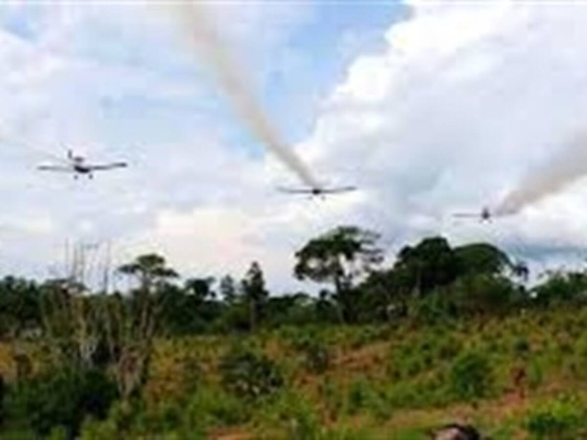 “Tomare acciones contra Gobierno por fumigaciones”: Guillermo Flórez