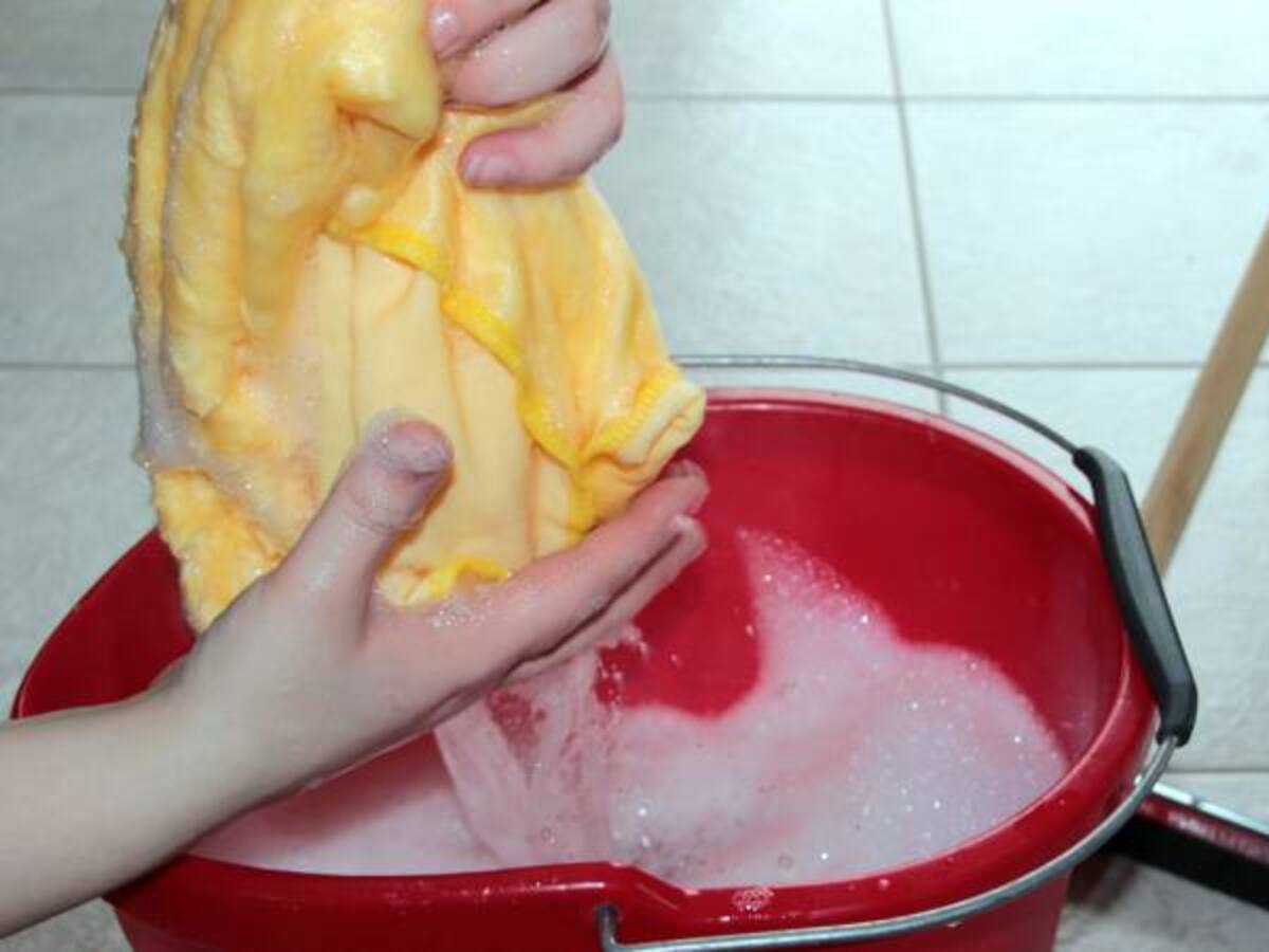 El extraño caso del empleado doméstico