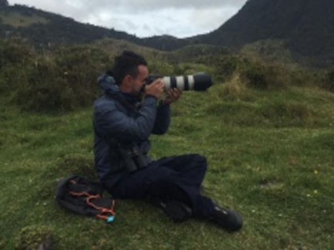 Avistamiento del cóndor de los Andes, en el Parque de los Nevados.