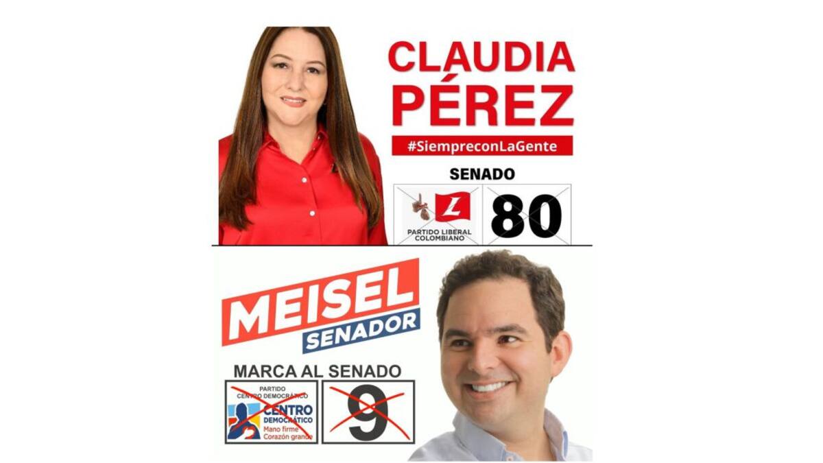 Senadores electos, Claudia Pérez y Carlos Meisel, acusados de comprar votos