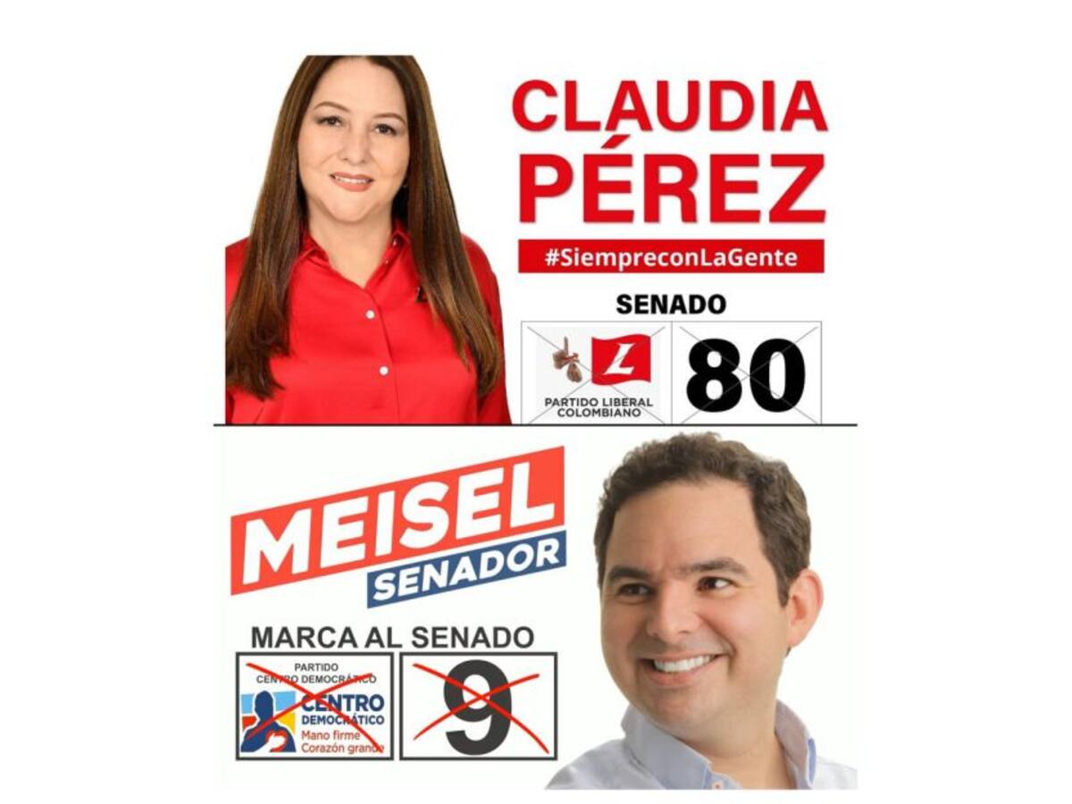 Senadores electos, Claudia Pérez y Carlos Meisel, acusados de comprar votos