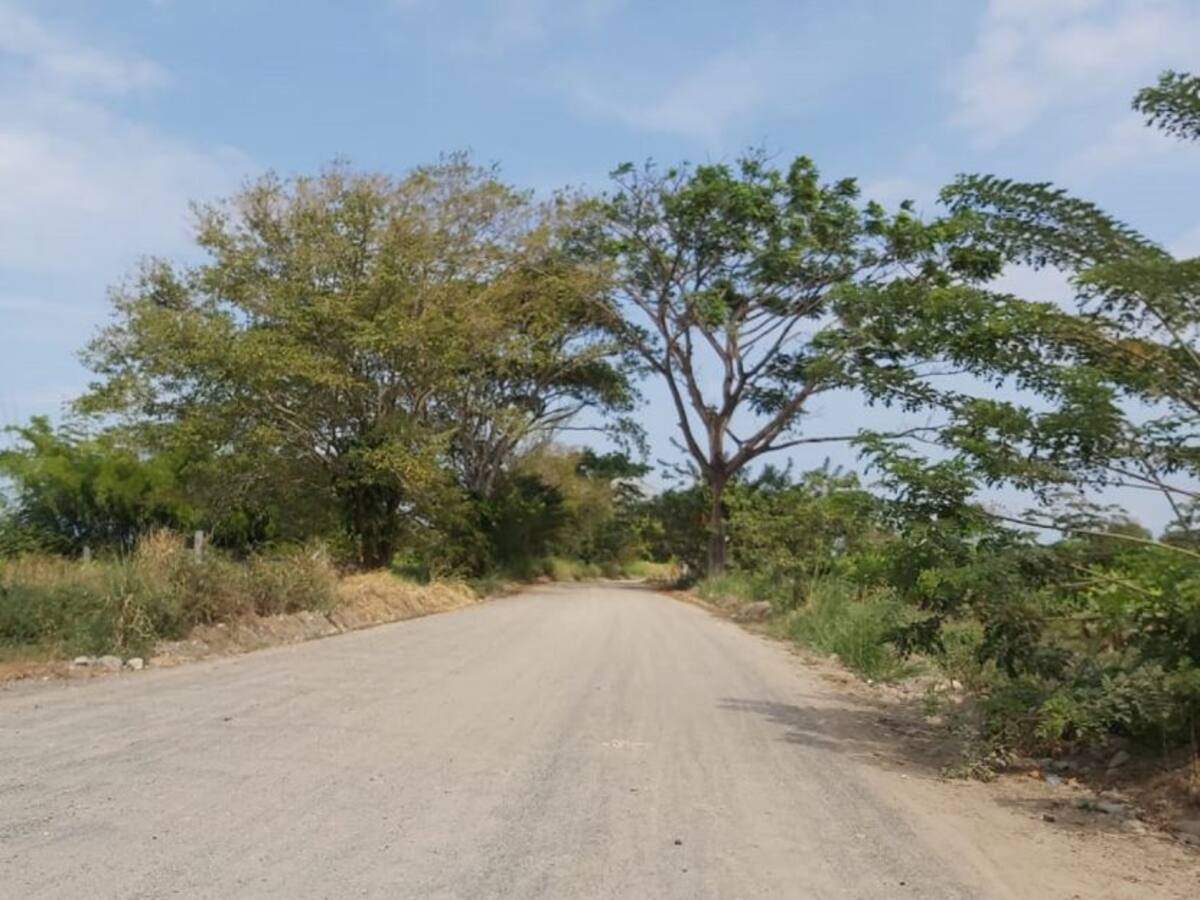 “ELN retuvo a 15 personas en Tame, Arauca”: Personería