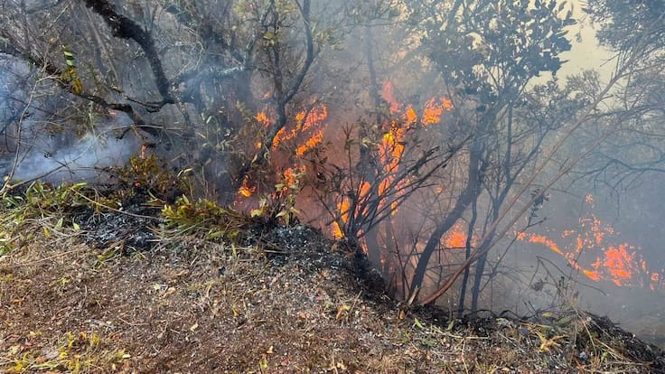 Alcaldesa de Buga alerta por incendio en parque Las Hermosas: “Lleva más de 40 días”