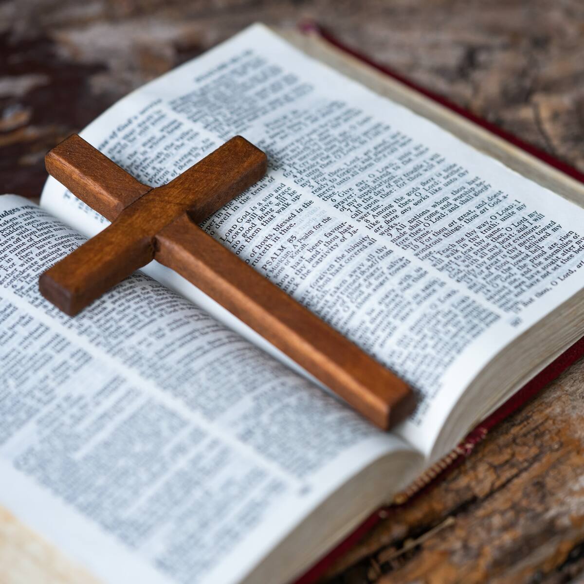Los archivos X de la Biblia, ¿en realidad sucedió todo lo que dice el libro sagrado?