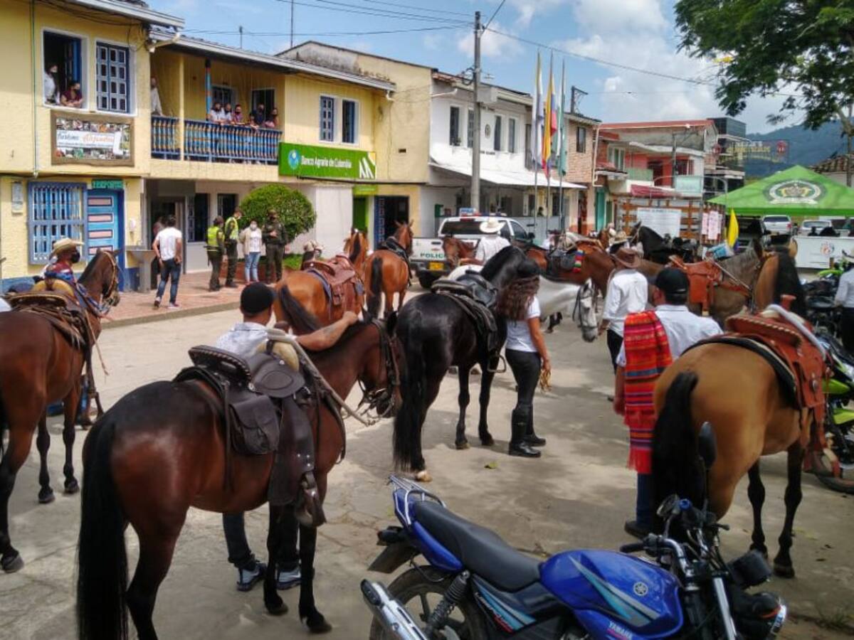 Prohíben cabalgatas en Alejandría para evitar propagación del COVID