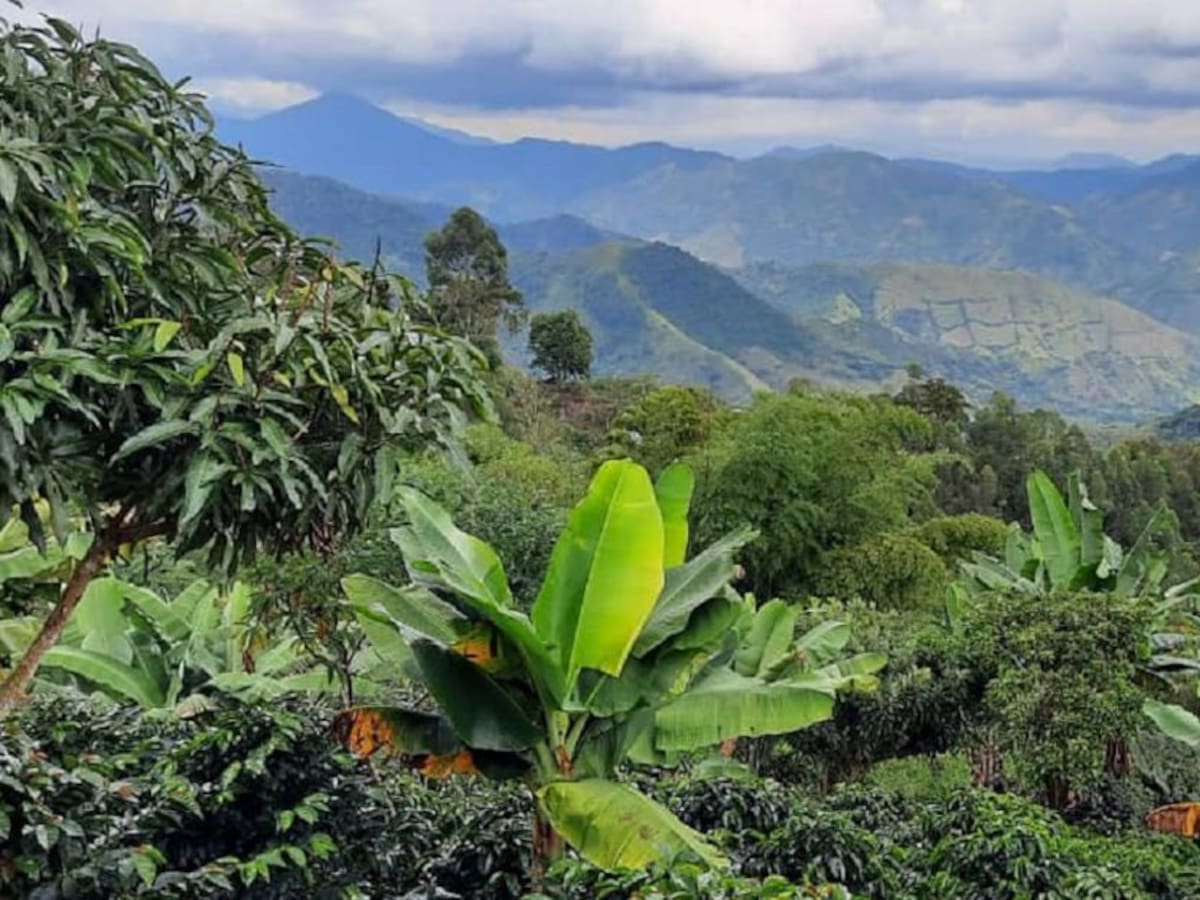 Un Valle que se atreve: la estrategia en competitividad