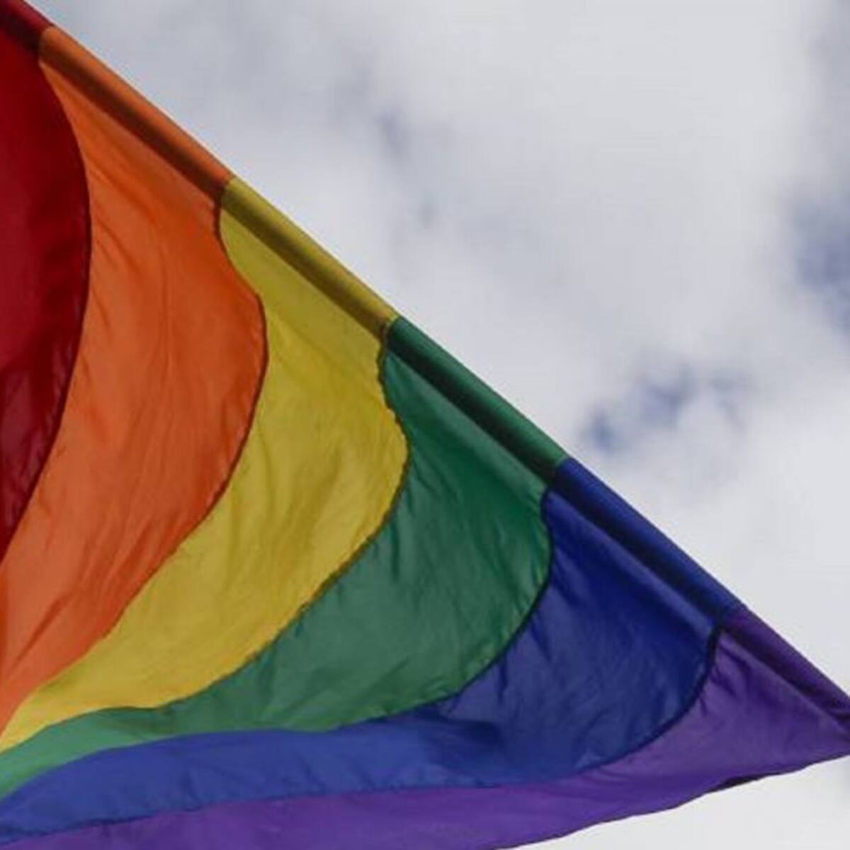 Marcha virtual en Bogotá para celebrar el día del Orgullo LGTBI