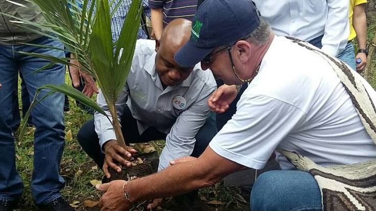MinAmbiente inicia ruta de la palma de Cera para salvar esta especie