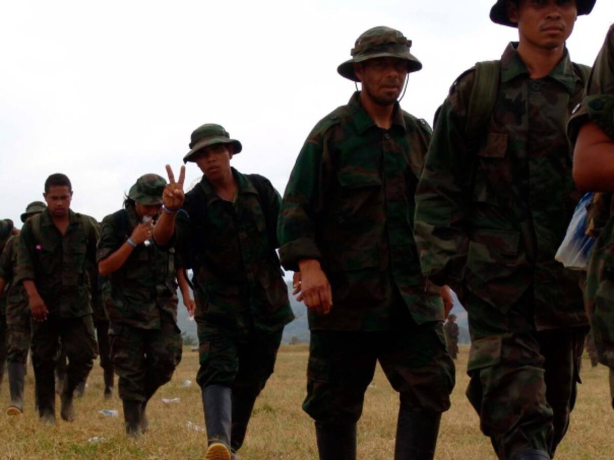 Hay deserciones de las Farc en Nariño, Vichada y Bajo Cauca antioqueño