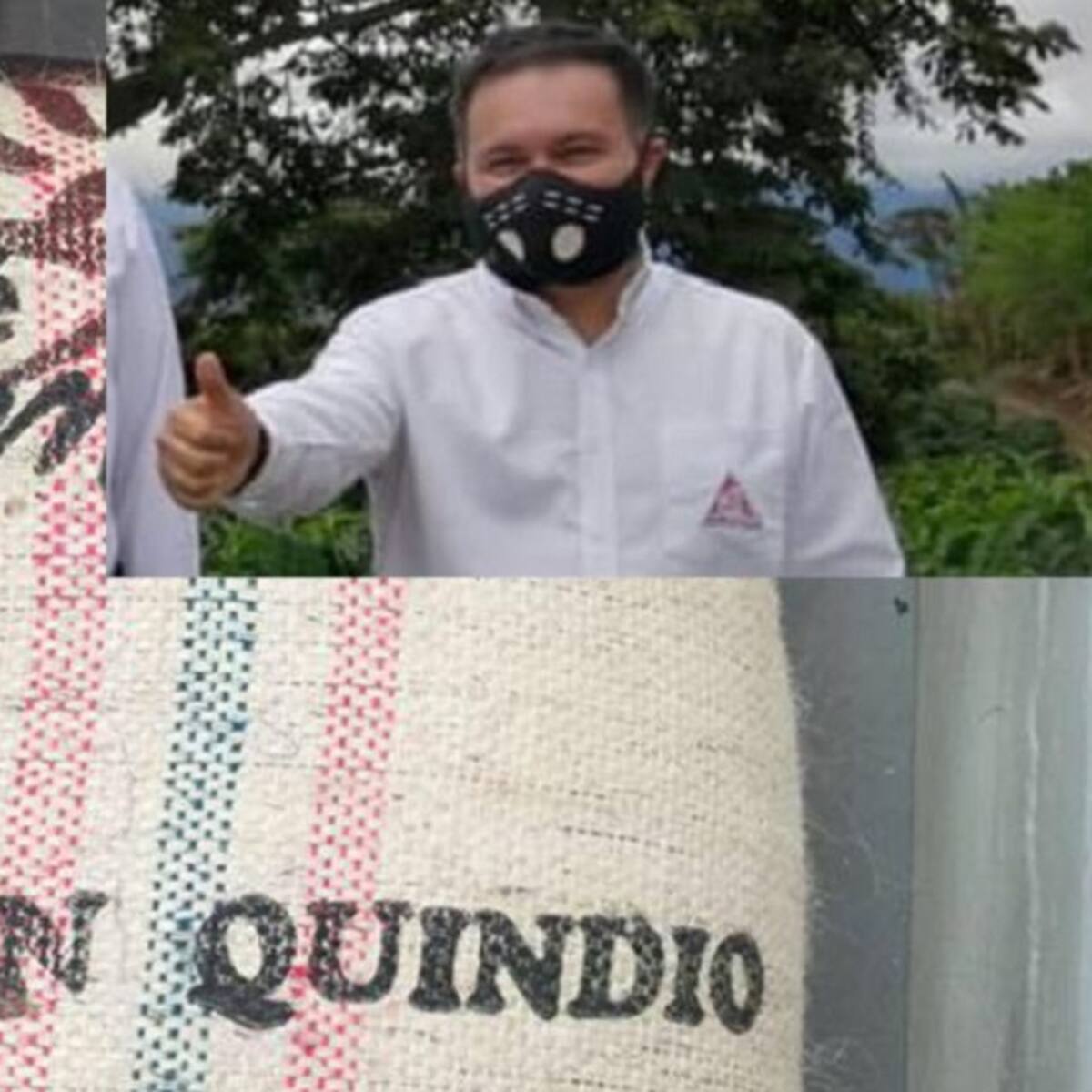 En Quindío bajó producción cafetera, hay preocupación por cosecha de 2021