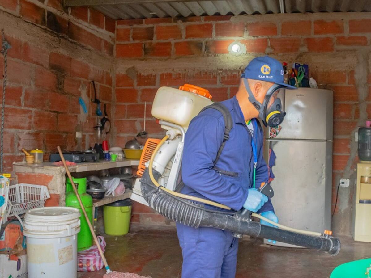 Casos de dengue han disminuido en un 36,9% en Cartagena durante el 2024