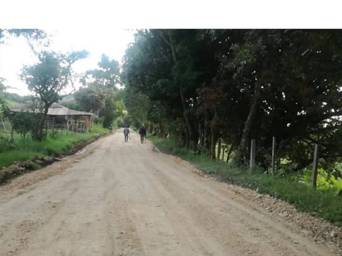 Comité de Cafeteros apoya proceso de recuperación de vías en el Tolima