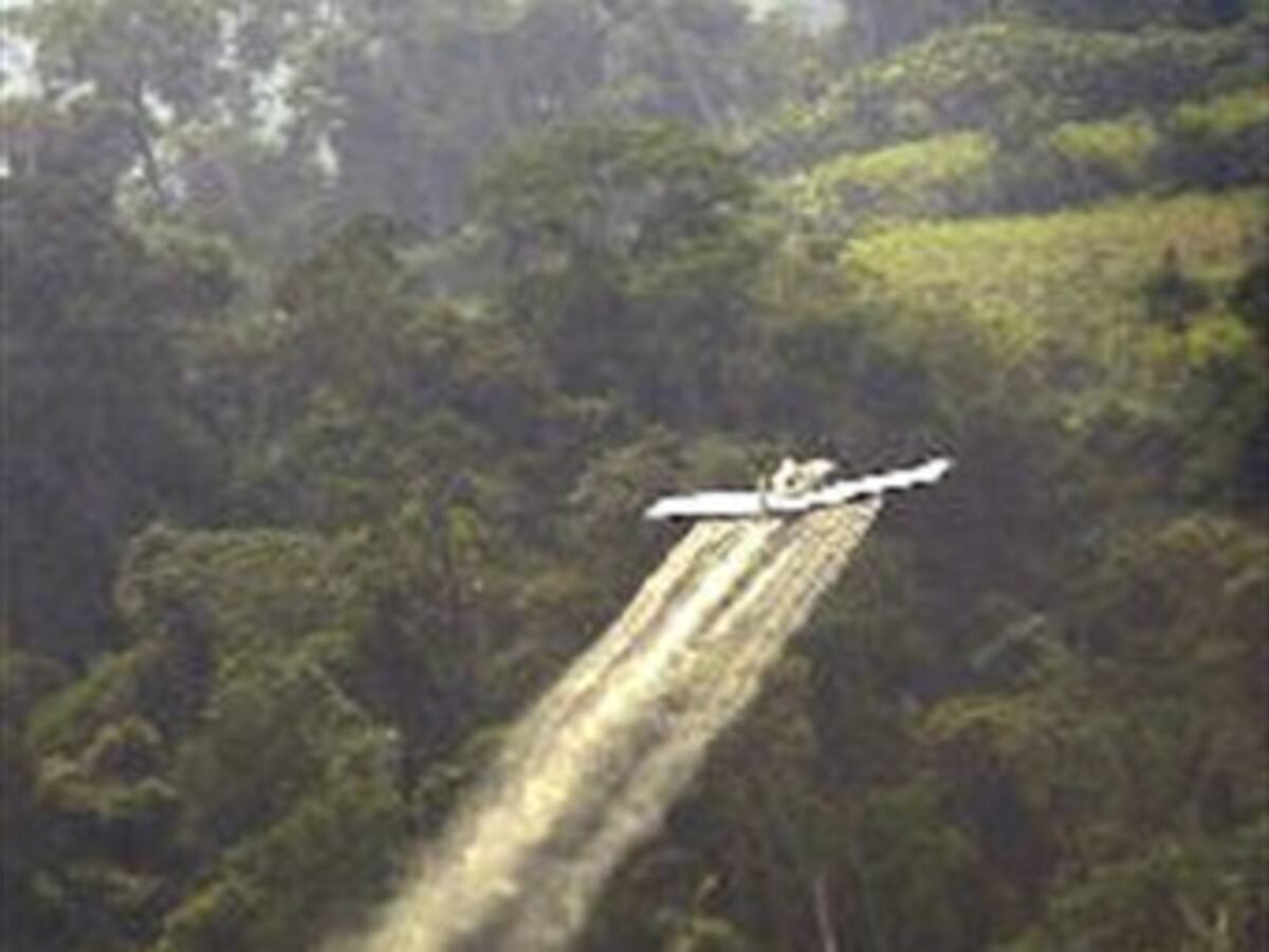 Colombia fumigará por aire cultivos ilegales en frontera con Venezuela