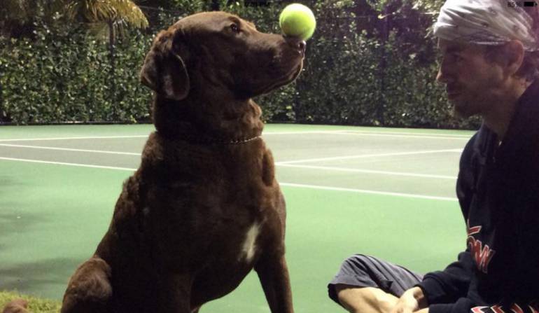 Enrique Iglesias y su perro Jack.