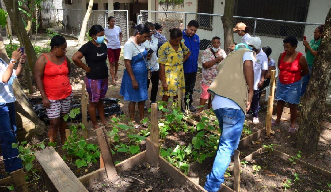 La Alcaldía a través del PES entregó los insumos que garantizan su funcionamiento en las viviendas