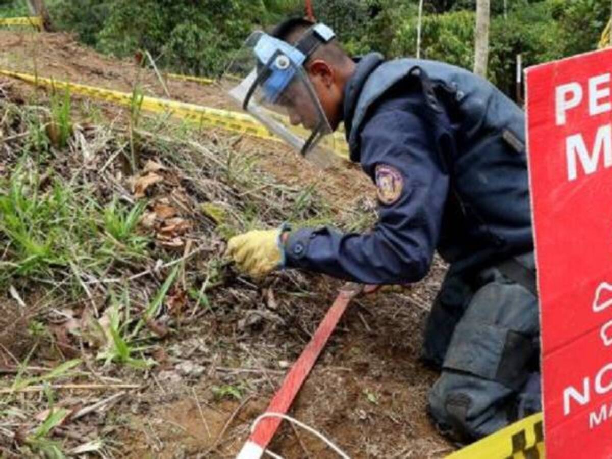 Avanza proceso de desminado humanitario en el sur del Tolima