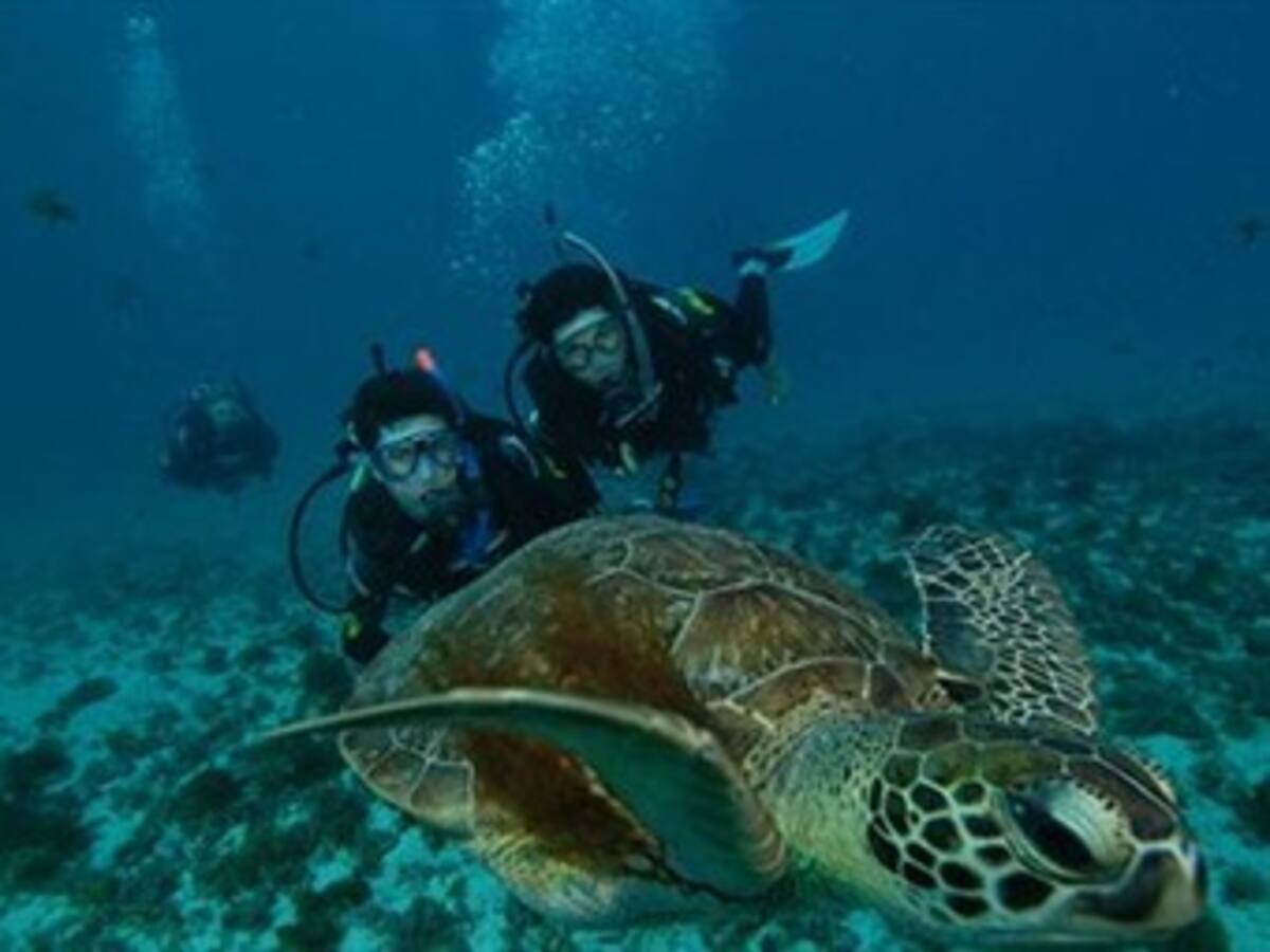 Gobierno impulsará el ecoturismo