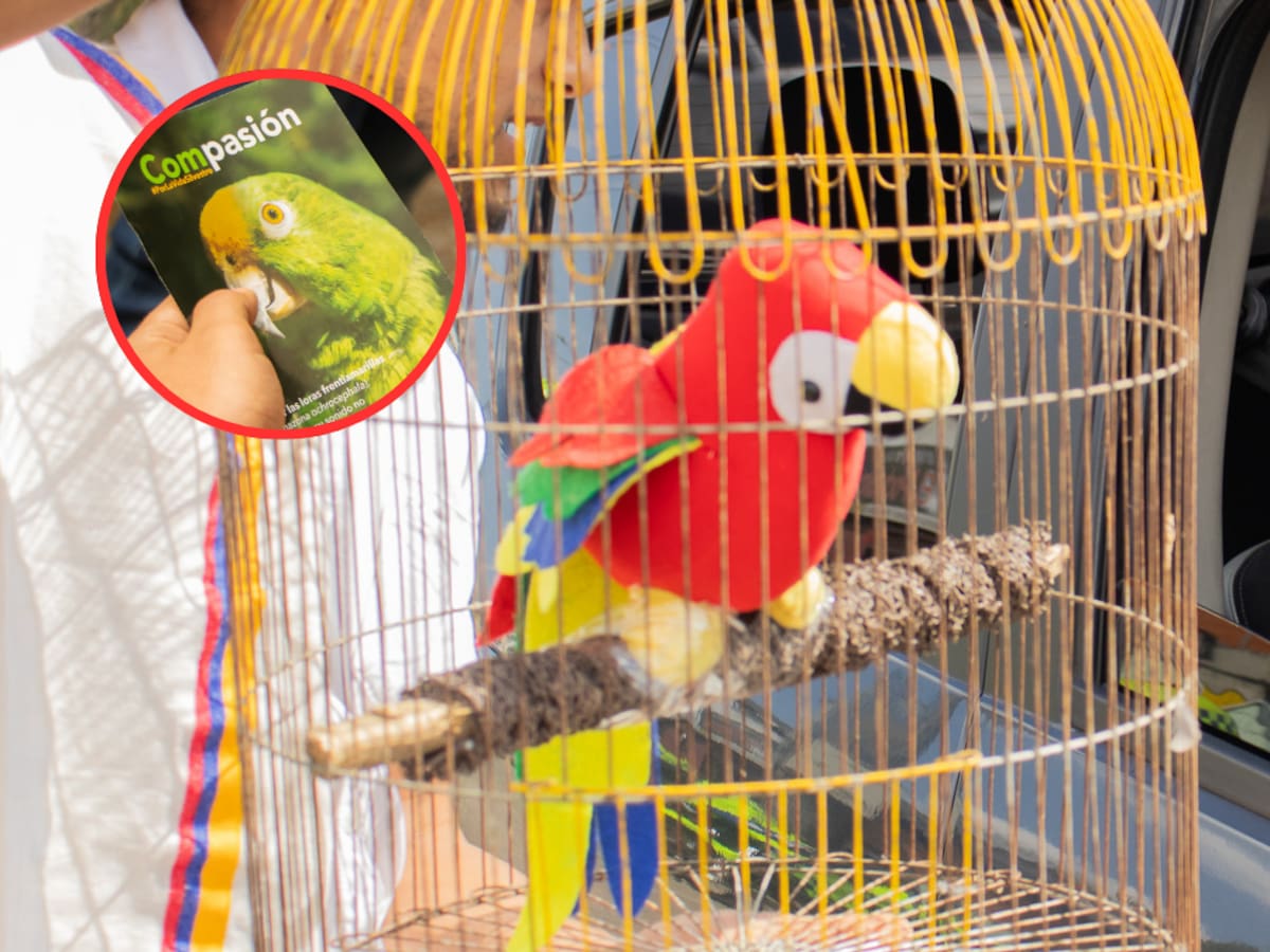 ComPasión Por La Vida Silvestre: campaña que refuerza el cuidado de la biodiversidad en Semana Santa