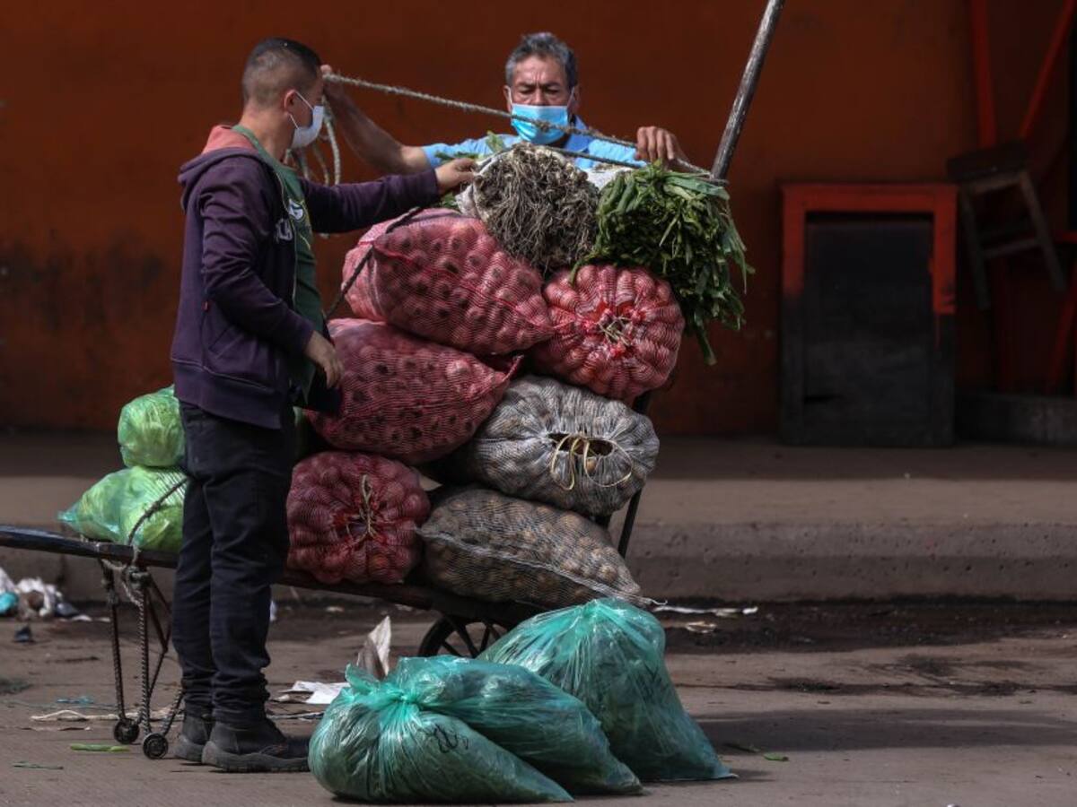 En Nariño sigue escasez de huevo y pollo