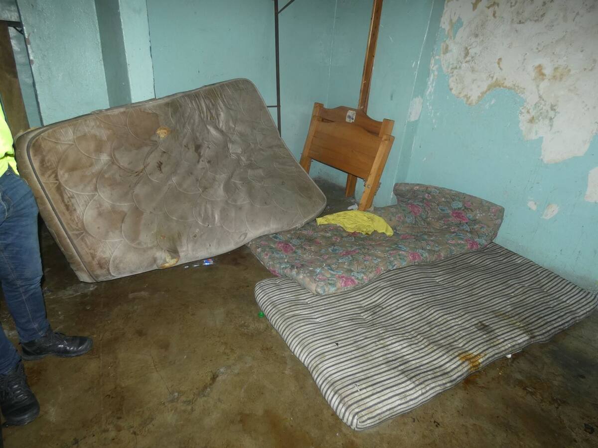 En Ibagué cierran dos sitios de hospedaje porque encontraron ratones en los colchones