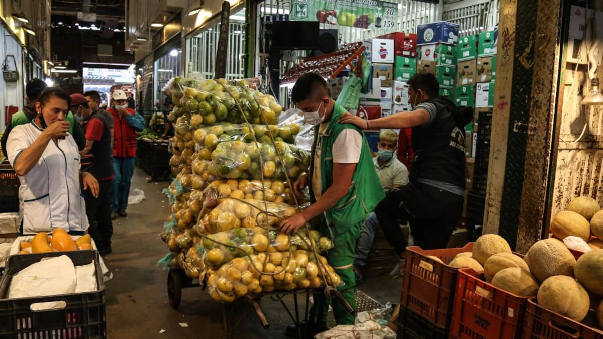 Pescados, carnes y procesados impulsan el abastecimiento alimentario en mayo