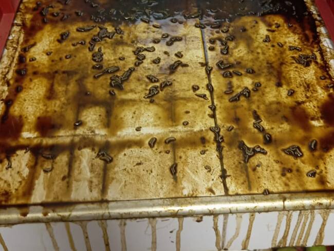 Se encontraban en pésimas condiciones. Foto Redes Sociales.