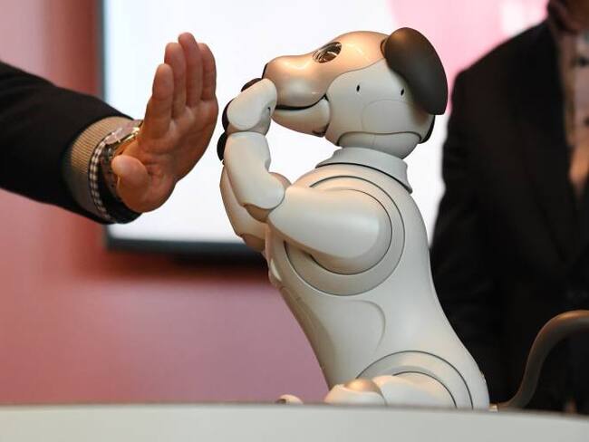 Foto: Kazuhiro Nogi/AFP/Getty Images