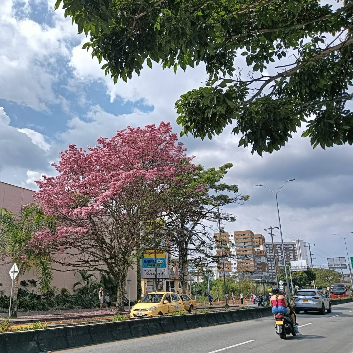 Jueves 5 de septiembre, las noticias más importantes de Armenia y Quindío