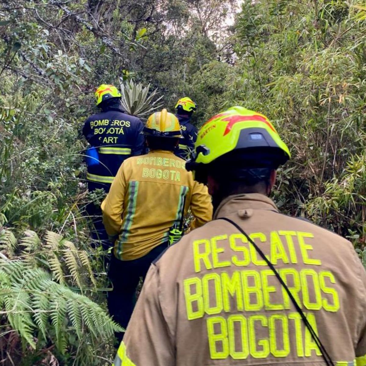 Bogotá envía 100 rescatistas y maquinaria a las ciudades más afectadas por el sismo