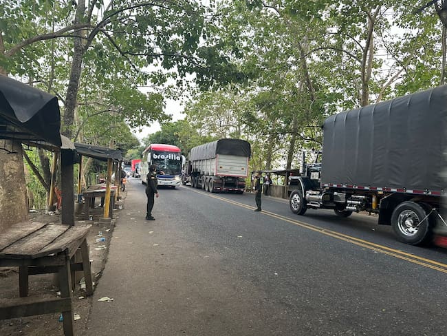 Imagen de referencia