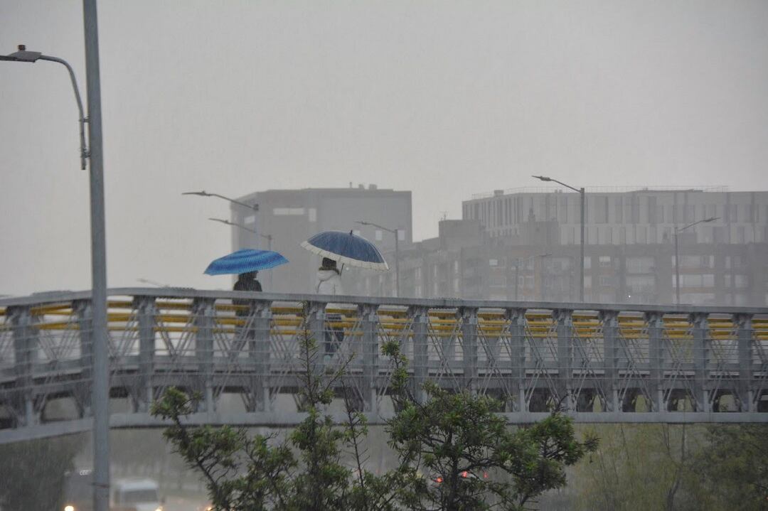 Las estrategias innovadoras del Distrito para fortalecer a Bogotá frente al cambio climático