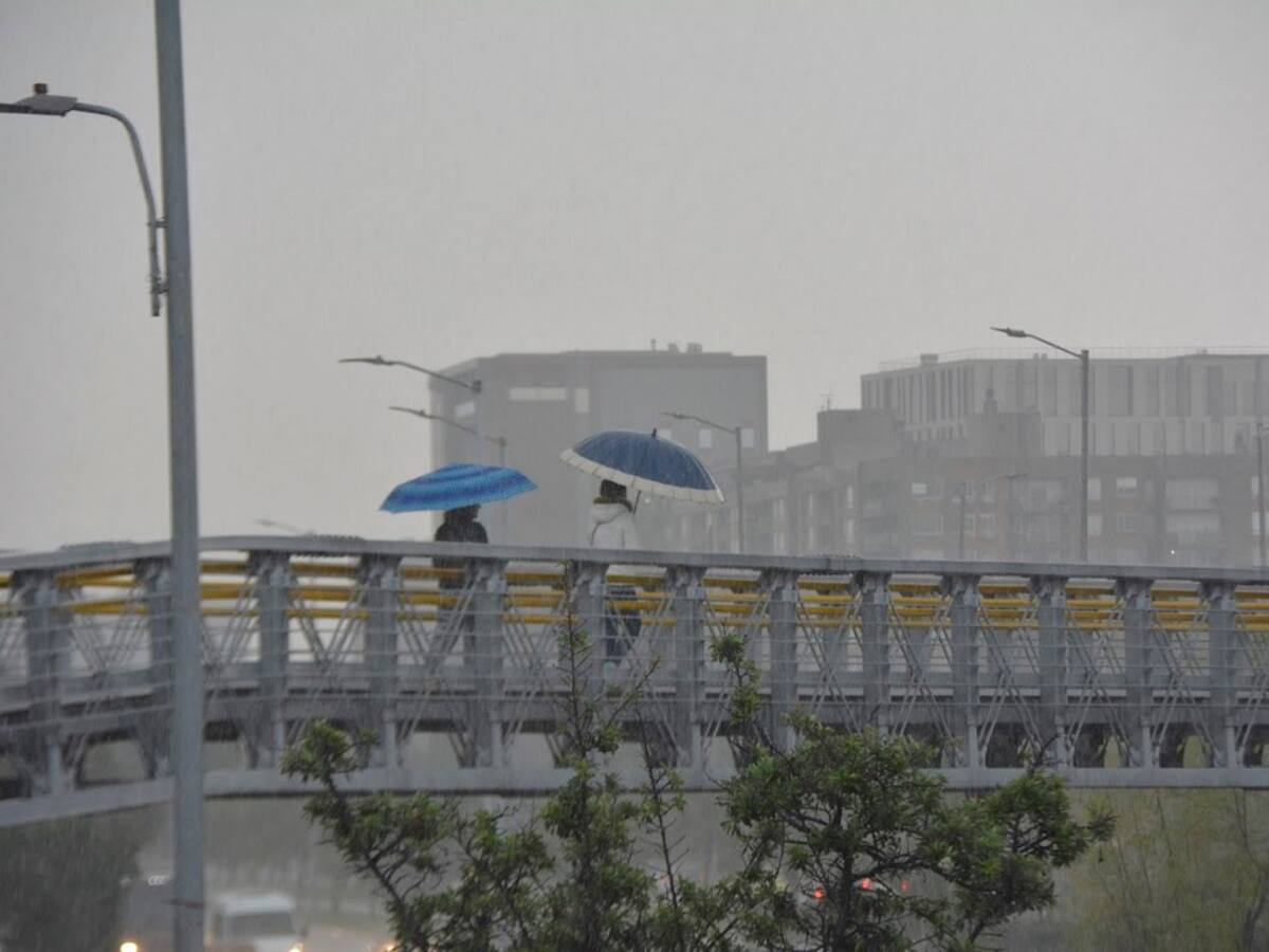 Estrategias innovadoras del Distrito para fortalecer a Bogotá frente al cambio climático